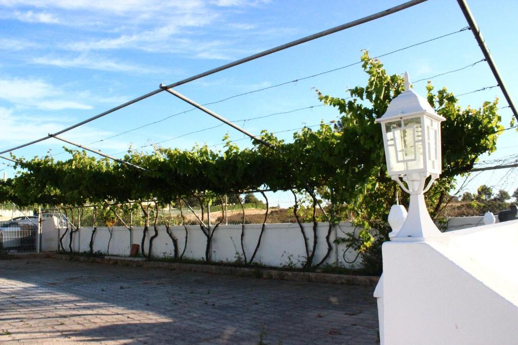 Sunshine Hotel Albufeira Buitenkant foto