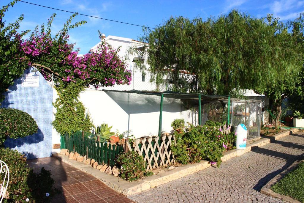 Sunshine Hotel Albufeira Buitenkant foto
